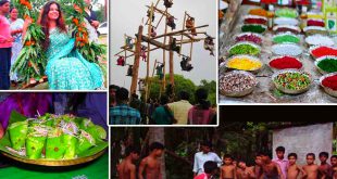 Mithuna Sankranti - Hindu Festival