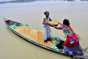 Women unload rice grains from a boat to dry in the sunshine in flood-affected village Murkata in Morigaon district in Assam.
