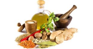 Ayurveda Hindi Quotes आयुर्वेद पर अनमोल विचार