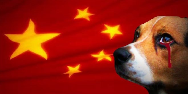 China Weird News: Controversial Yulin Dog Meat Festival