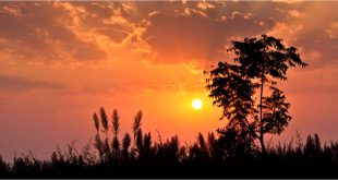 Good Morning Hindi Poem सवेरा और जीवन