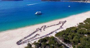 Australia Guinness World Records: Largest human whale