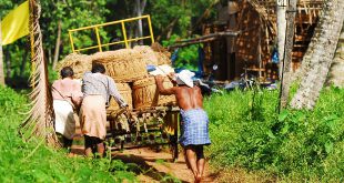 Motivational Poem About Achieving Goal in Life जिन्दगी