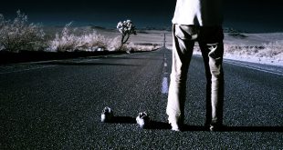 When do we celebrate World Friendship Day?