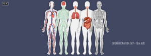 Human Organ Donation Day - Facebook Cover