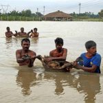 Villagers rescue some birds a flood affected village in West Bengal’s Birbhum district on August 22, 2016