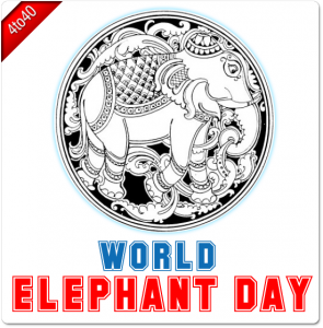 World Elephant Day - 12th August Greeting