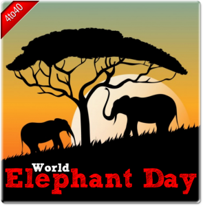 World Elephant Day - 12th August - Greeting Card