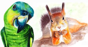 Inspirational Animals English Story: Friendship