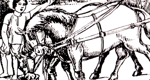 Kindness Story of Poor Lame Boy गरीब लँगड़े लड़के की दयालुता