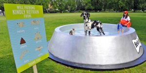 UK World Record: Largest dog bowl