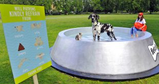 UK World Record: Largest dog bowl