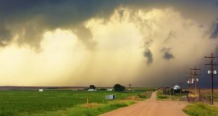 Harivansh Rai Bachchan Inspirational Hindi Poem नीड़ का निर्माण फिर फिर