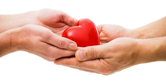 World Organ Donation Day Information
