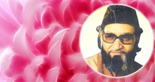 Bekal Utsahi Contemplation Hindi Poem रोते रोते बहल गई कैसे