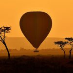 A hot air balloon carrying tourists is pictured during the annual wildebeest migration in the Masai Mara game reserve.