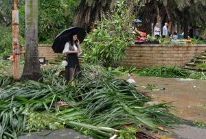 A woman stands amid downed tree branches on a street in Xiamen, Chinas eastern Fujian province, after Typhoon Meranti made landfall on September 15, 2016.