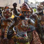An Indian performer painted as a tiger takes part in the Pulikali, or Tiger Dance, in Thrissur on September 17, 2016. The folk-art event is held every year in the town during the Onam festival.