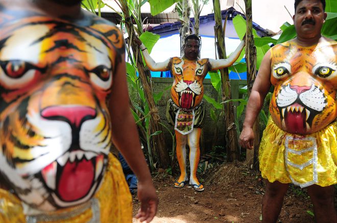 Indian performers wearing body-paint depicting tigers wait for the artwork to dry as they prepare to take part in the Pulikali, or Tiger Dance, in Thrissur on September 17, 2016. The folk-art event is held every year in the town during the Onam festival.