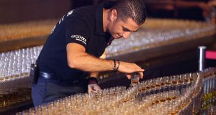 Dubai Guinness World Record: Longest domino drop shot