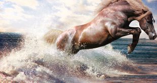 Motivational Hindi Poem about Will Power आत्मबल