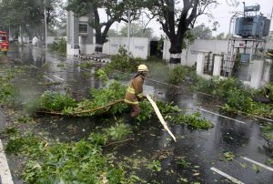 A rescue member removes a fallen branch of a tree that fell on a road after it was uprooted by strong winds in Chennai on December 12, 2016