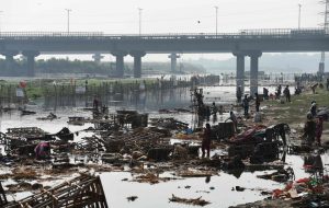 Indian scavengers look for coins and re-usable items amongst the religious offerings and wooden frames of idols of goddess Durga that are piled up in the Yamuna river in New Delhi on October 12, 2016, following the Durga Puja festival.