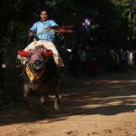 Men ride buffalos during the Pchum Ben festival, in Vihear Sour village in Kandal province, Cambodia, on October 1, 2016.