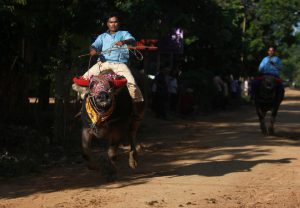 Men ride buffalos during the Pchum Ben festival, in Vihear Sour village in Kandal province, Cambodia, on October 1, 2016.