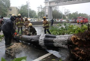 Rescue members cut a tree that fell on a road after it was uprooted by strong winds in Chennai on December 12, 2016