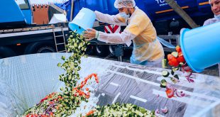 Russia Guinness World Record: Largest Greek Salad