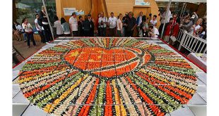 Norway Guinness World Record: Largest Sushi Mosaic