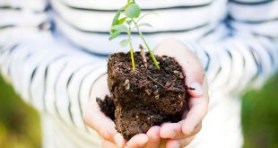 Tell Children They are Part of Your World - Building self-esteem in Children