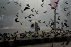 A pedestrian walks along a street as smog envelops a street in New Delhi on October 31, the day after the Diwali festival.