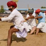A tug-of-war competition at the closing ceremony of Pushkar Fair.