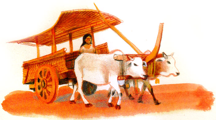 A zebu-drawn cart