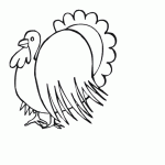 Thanksgiving Turkey