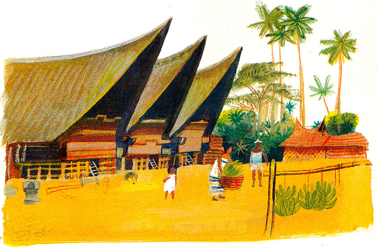 Typical long houses on Kalimantan