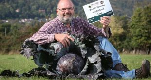 UK breaks Guinness World Record: Heaviest Red Cabbage