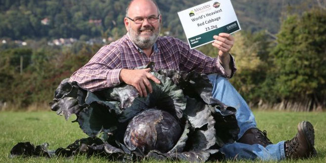 UK breaks Guinness World Record: Heaviest Red Cabbage