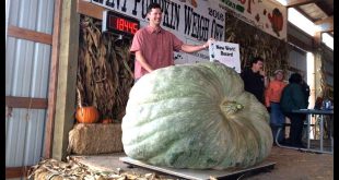 USA breaks Guinness World Record: Heaviest Squash