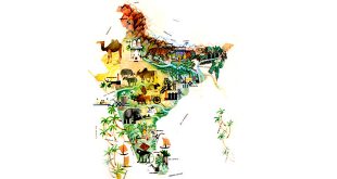 India – World Atlas: Kids Encyclopedia
