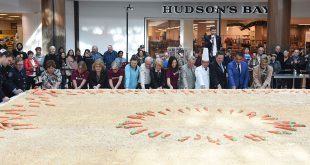 Canada breaks Guinness world record: Largest carrot cake