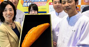 Japan breaks Guinness world record: Largest kaki no tane