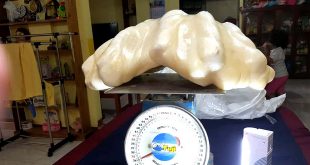 Philippines breaks Guinness world record: Largest natural pearl