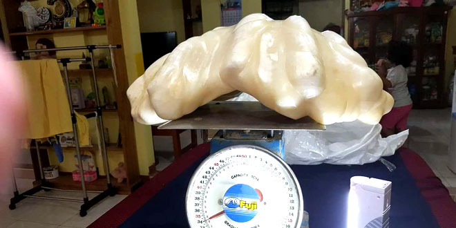 Philippines breaks Guinness world record: Largest natural pearl