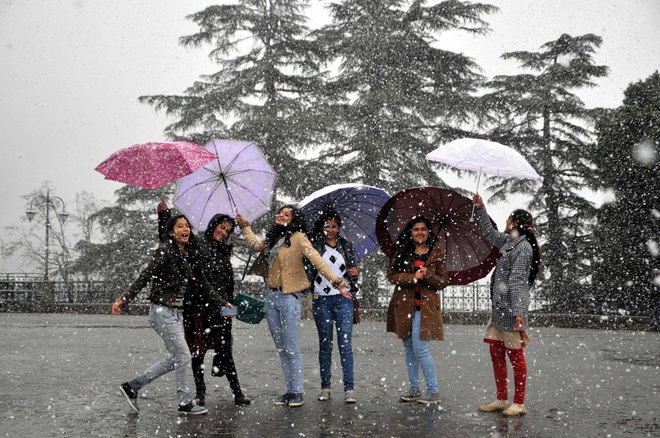 Girls frolicking with umbrellas during snowfall on Christmas in Shimla