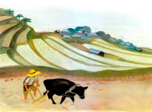 Irrigated terraced rice fields