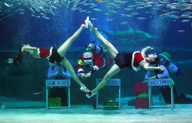 South Korean divers wearing Santa Claus dresses perform amongst fish in a tank during a Christmas event at the Coex Aquarium in Seoul on December 17, 2016.