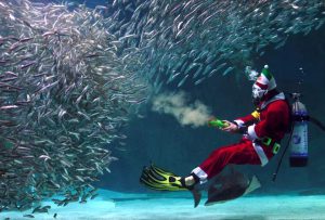 A South Korean diver wearing a Santa Claus outfit swims with fish in a tank during a Christmas event at the Coex Aquarium in Seoul on December 17, 2016.
